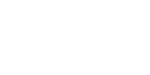 Valley Carpet Care White