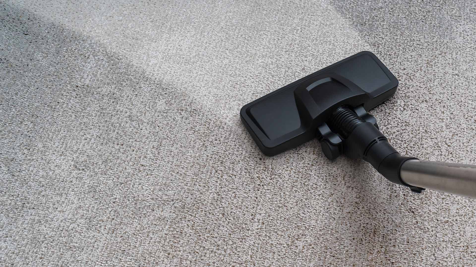 vacuum during a carpet cleaning meridian id